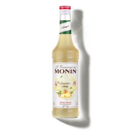Concentré de Gingembre Monin